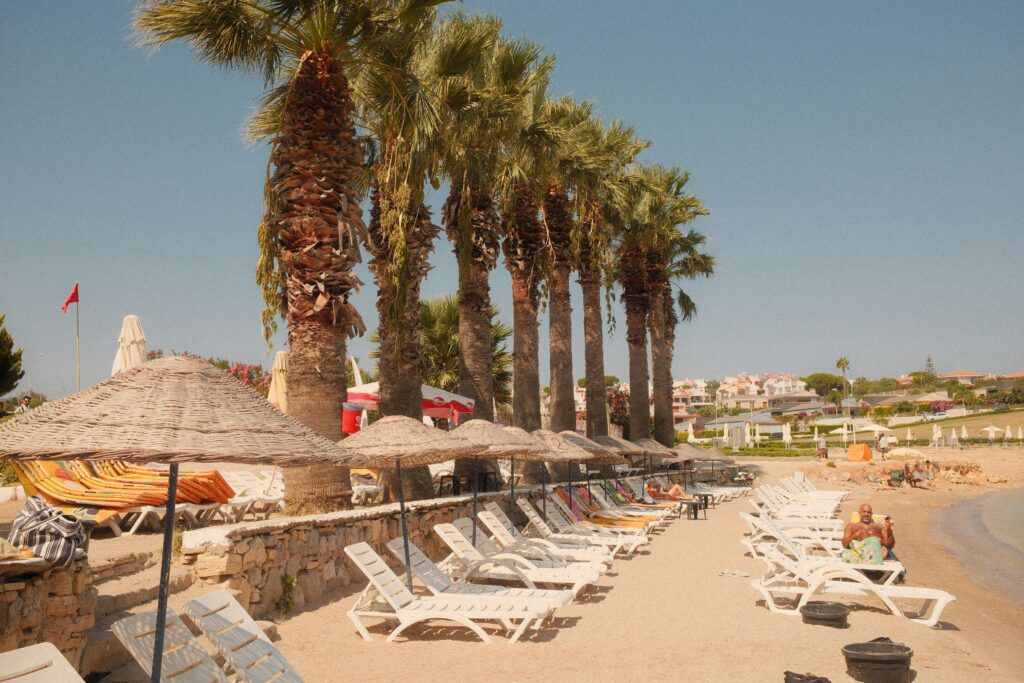 Beach Front dubai tour advanture affordable