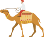 Camel Ride