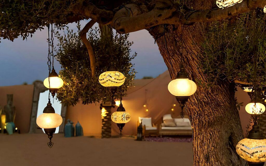 desert safari lighting tree
