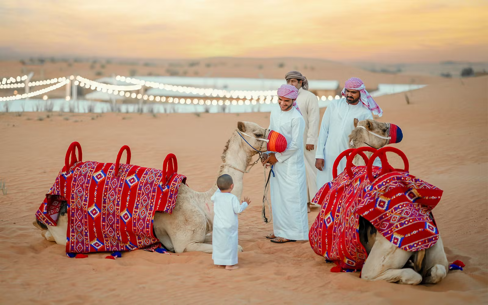 Camel Riding